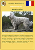 fiche identite chien komondor caractere origine comportement poil race