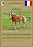 fiche cheval chevaux  identite race haflinger origine comportement caractere robe sante