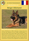 fiche chien identite race berger allemand origine comportement caractere poil sante