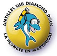 Plongée avec Antilles Sub Diamond Rock au Diamant en Martinique