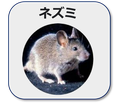 害獣ネズミの居酒屋施工事例