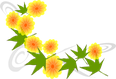 Fiori gialli