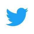 Littlelorikeets Twitter