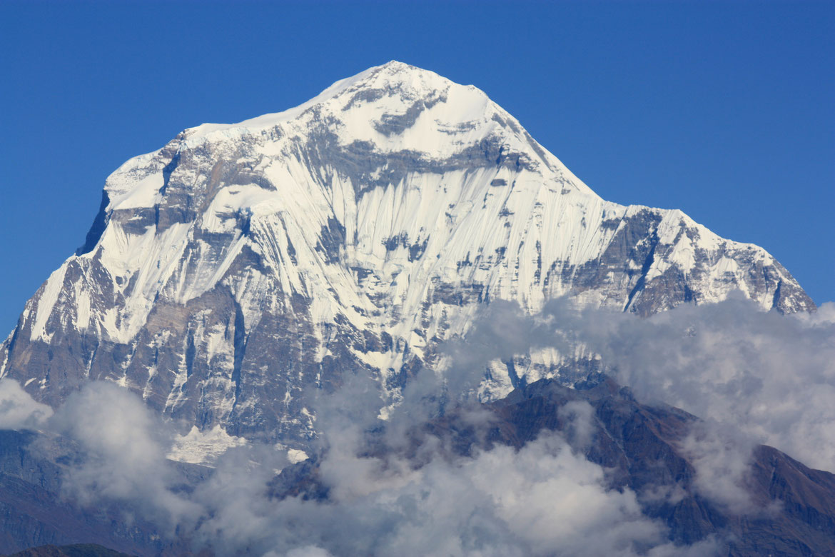 La Dhaulagiri (8 167 m) depuis Poon Hill (3193 m)