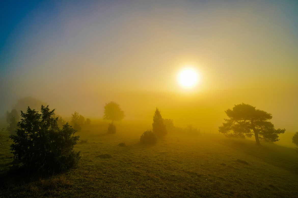 Lampertstal # Kalvarienberg # Toskana Eifel # Roland Valter # Naturfotografie