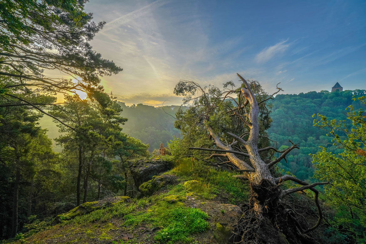 Sonnenaufgang # Burg Nideggen # Buntsandsteinroute # Roland Valter # Sonnenaufgang