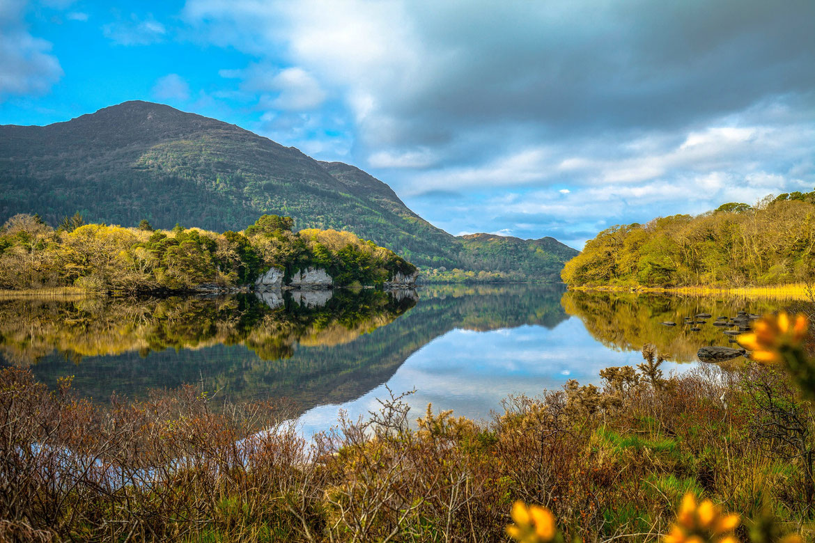 Irland # Killarney Nationalpark # Roland Valter # Naturfotografie # 
