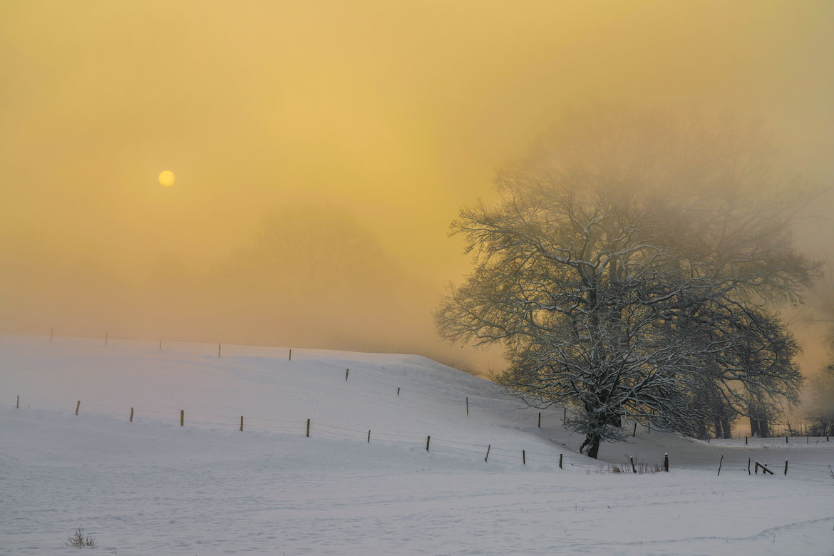 Nebel # Sonnenaufgang # Feld # Aachen Horbach #Roland Valter # Naturfotografie