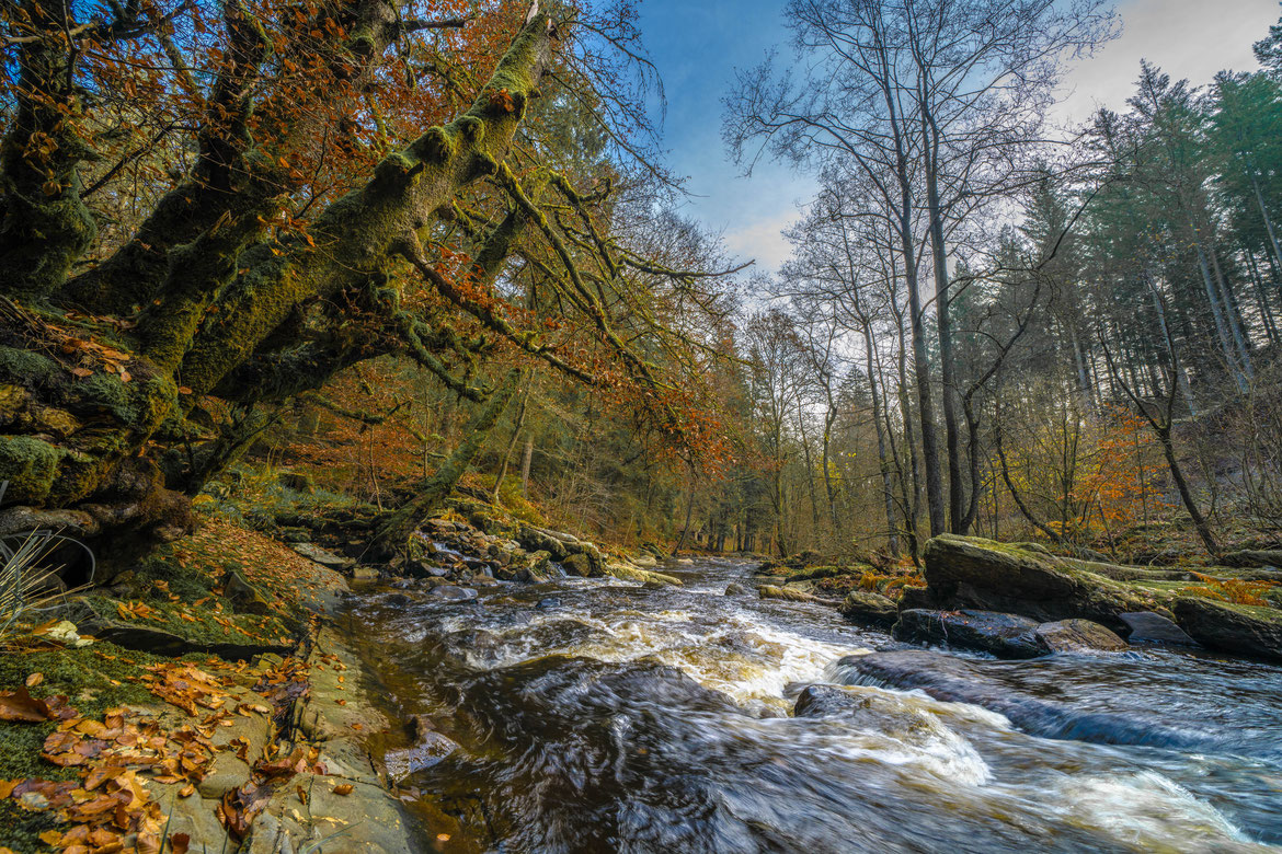 Dreistegen # Rur # Klosterroute # Roland Valter # Naturfotografie