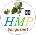 Association histoires,mémoires,patrimoine de Sanguinet