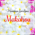 LomiLomi salon Makahou