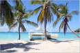 (Bientôt) Guadeloupe et Voyages dans les Caraïbes