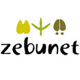 Logo (Zebunet)