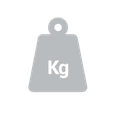 Gewicht Icon