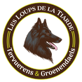 élevage bergers belges, Tervueren, Groenendael, chiots bergers belges, élevage familial, Nouvelle Aquitaine, chiens actifs, agility chiens
