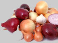 Des oignons rouges, blancs et gousse d'ail blanc aliments nocifs pour le chien par coach canin 16 educateur canin en charente