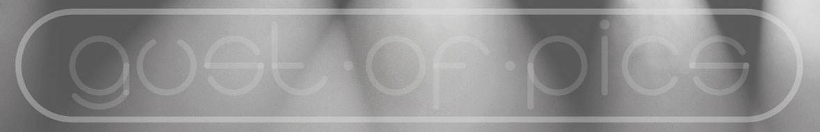 Gust of Pics Konzertfotografie - gustofpics