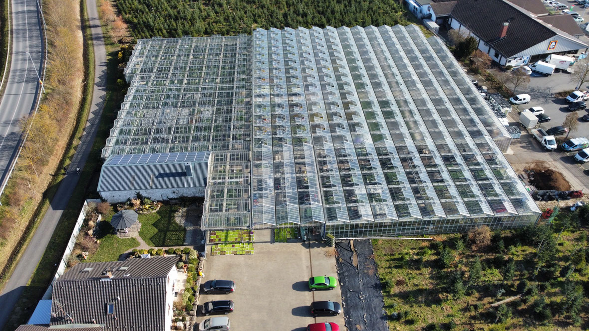 Blumen und Pflanzen - Gärtnerei Hummel Kitzingen