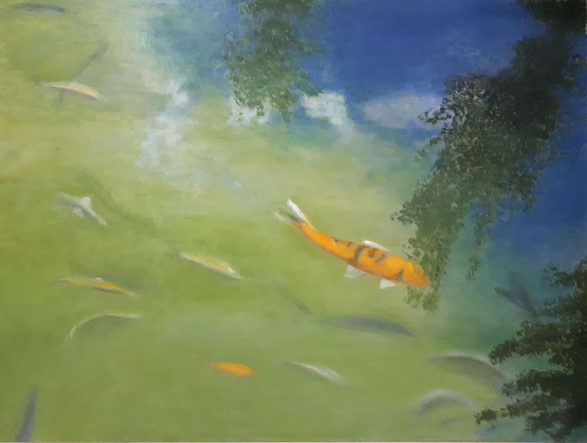 Peces vistos bajo el agua con reflejos, ondulaciones y tonos cambiantes.