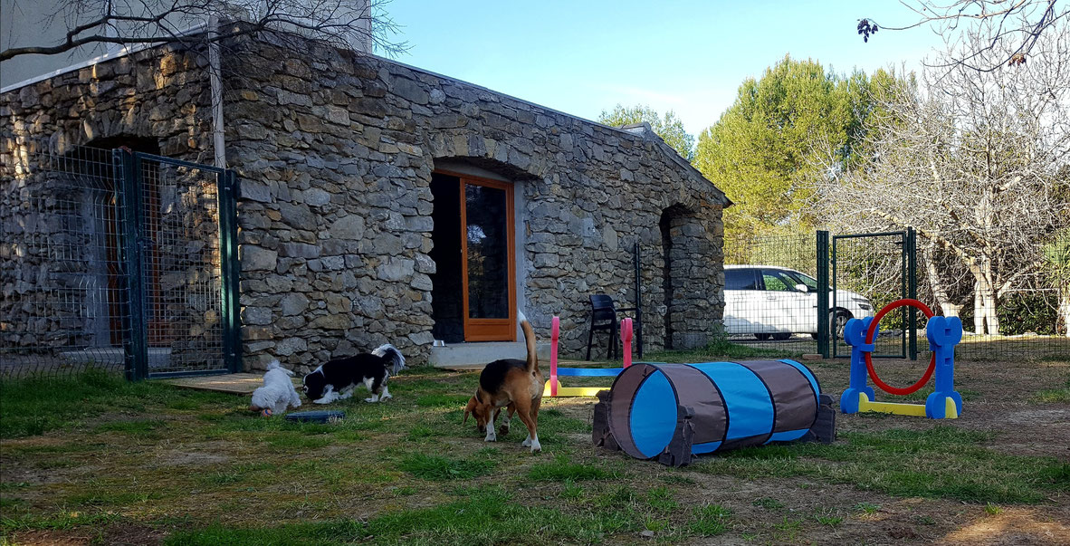 Pension canine illiat