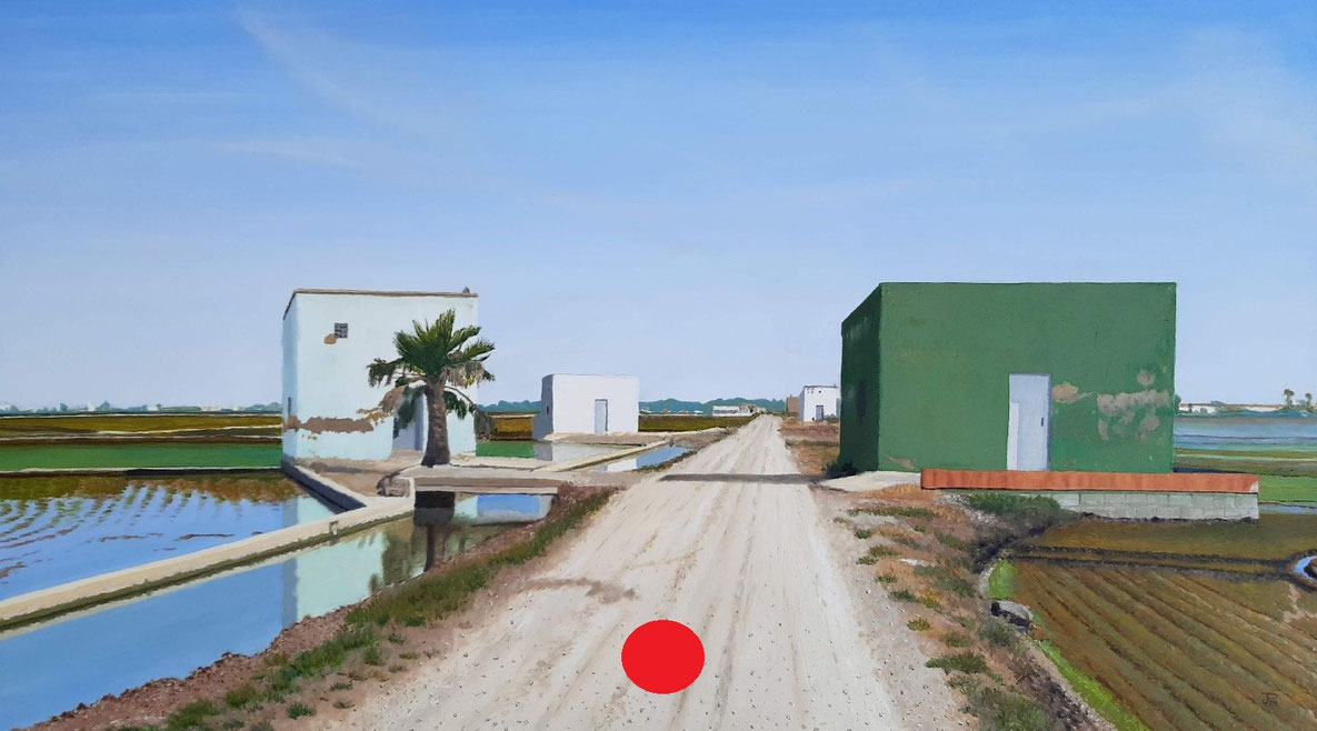 Camino rural flanqueado por campos inundados y casetas blancas y verdes, con una palmera y cielo despejado.