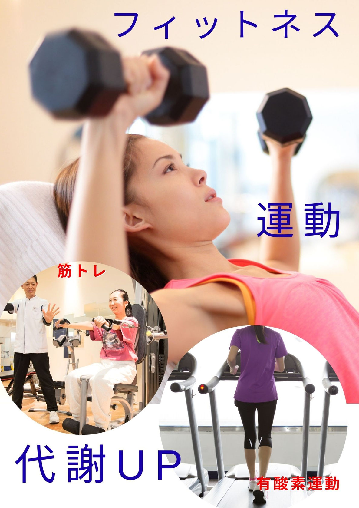 フィットネスでダイエット