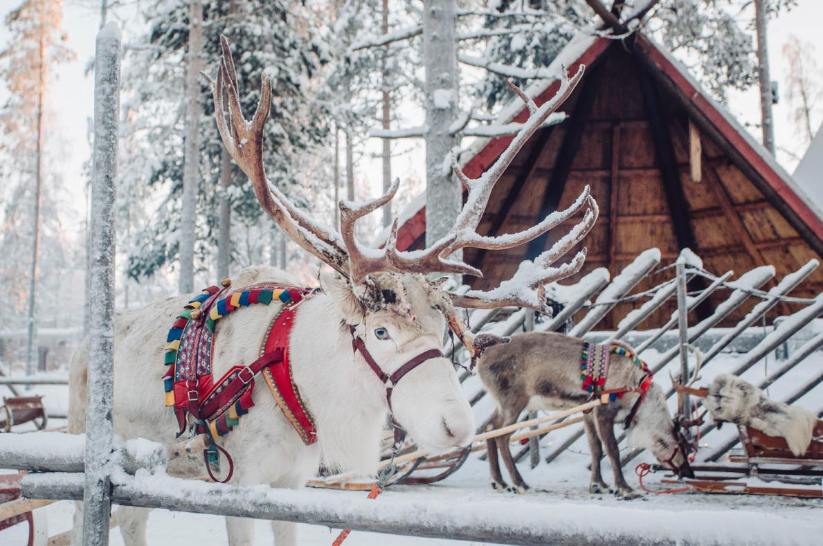 Best destinations to celebrate New Year - Rovaniemi 