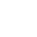 Silver Fern, illustration graphique d'une fougère argentée de Nouvelle-Zélande avec mention "Made in New Zealand" par le designer Kyle Lockwood