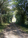 Chemin du moulin d'Affouard