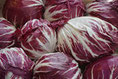 Radicchio di Treviso