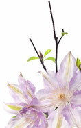 Fotolia_12885251_M.jpg