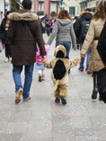 Carnevale.Venezia. foto di alyna