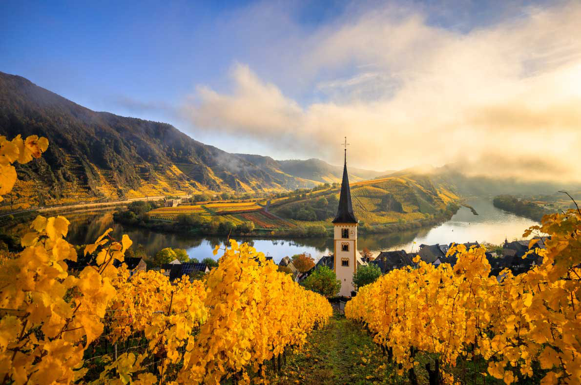 Rhone Valley - Beaujolais vineyards France - Best wine destinations in Europe