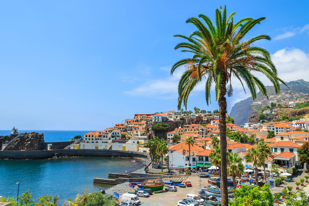 Camara de lobos in Madeira by Pawel Kazmierczak