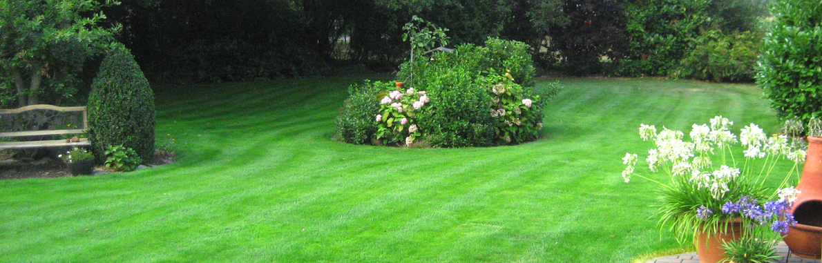 Rasenberatung - Karker Mühle, Ihr Tierfutter- und Gartenmarkt im Kreis