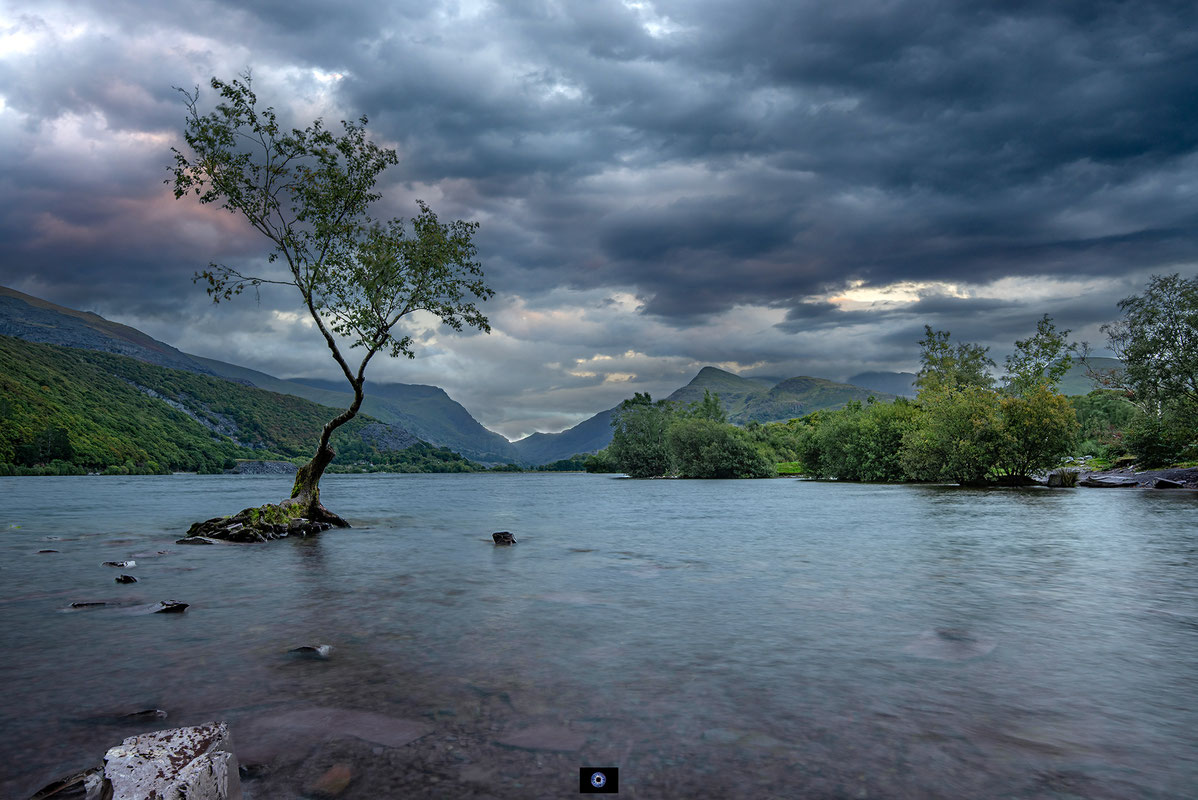 England | The Lone Tree Llanberis | North Wales