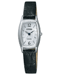 This is an image of CITIZEN EXCEED EX2000-09A