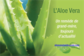 La composition et les avantages de l'aloe vera linné barbadensis miller