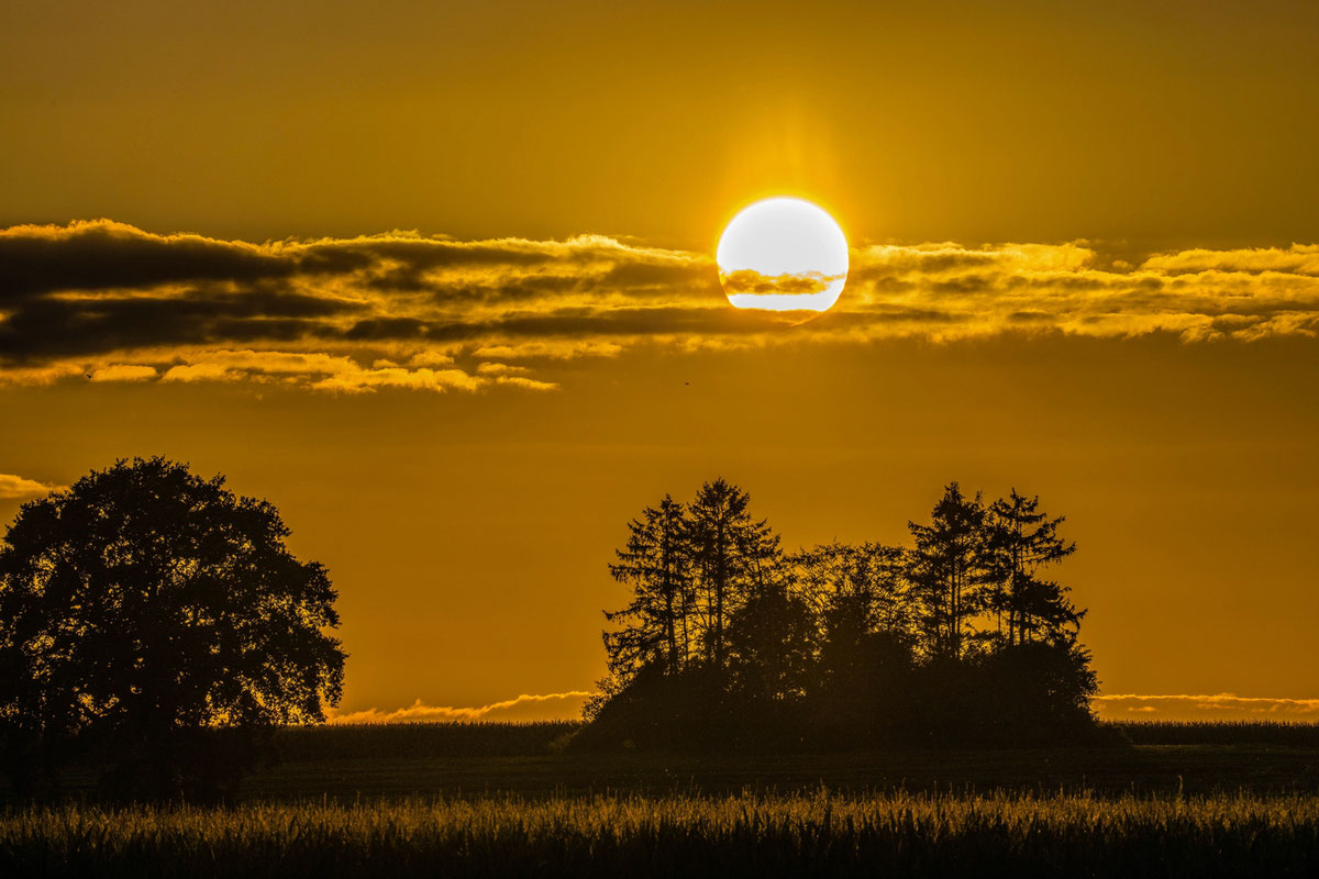Sonnenuntergang # Horbach # Richterich #Roland Valter