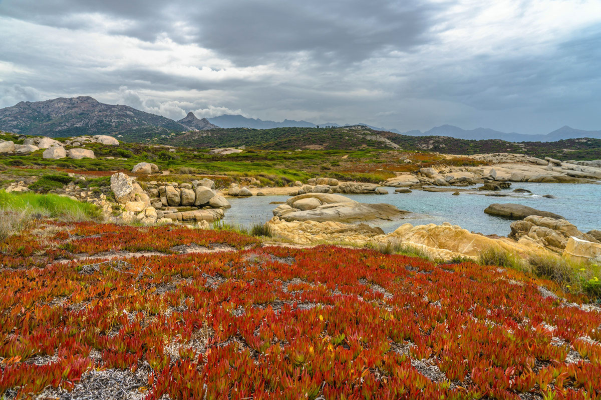 Korsika # Küste # Balagne # Roland Valter # Naturfotografie