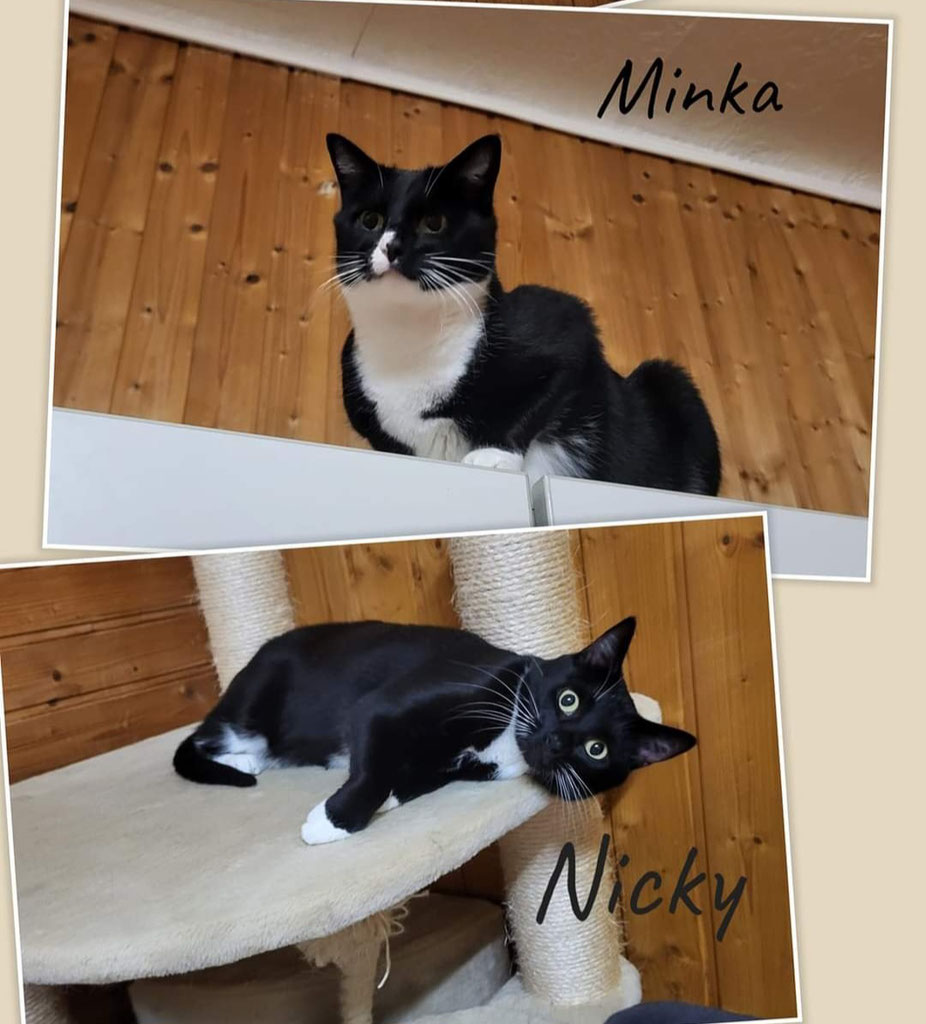 Minka & Nicky