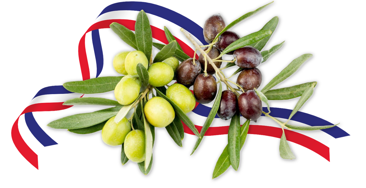 Tee; Früchtetee; Kräutertee; Aromastoffe; Cistuskraut; Ingwer; Lemon; Wildapfel; Apfel