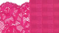 Fuchsia Fiesta