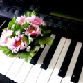 作曲チャンネル
