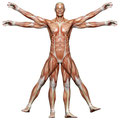 physio68s Webseite!