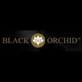 black orchid - trattamento aria