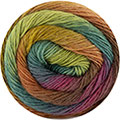 Silky Lace Rainbow 301 - Marron-Vert-Orange