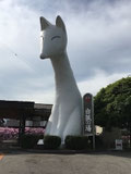 2017/05