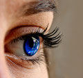 Wimpernlifting / Wimpernverlängerung