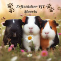 dieerftsteadtervjtmeeriss Webseite!
